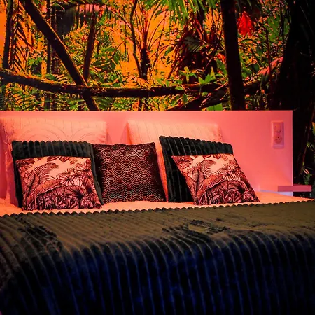 Apartment Loveroom & Jacuzzi Tijugo - Ferrand Clermont-Ferrand